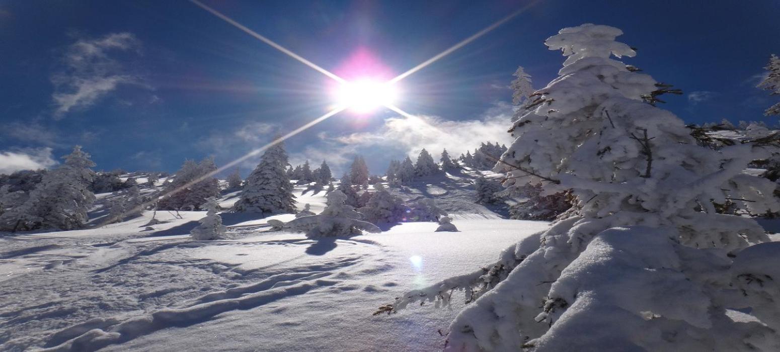 Ski-In, Ski-Out By Apartment Managers Kirchberg in Tirol Esterno foto
